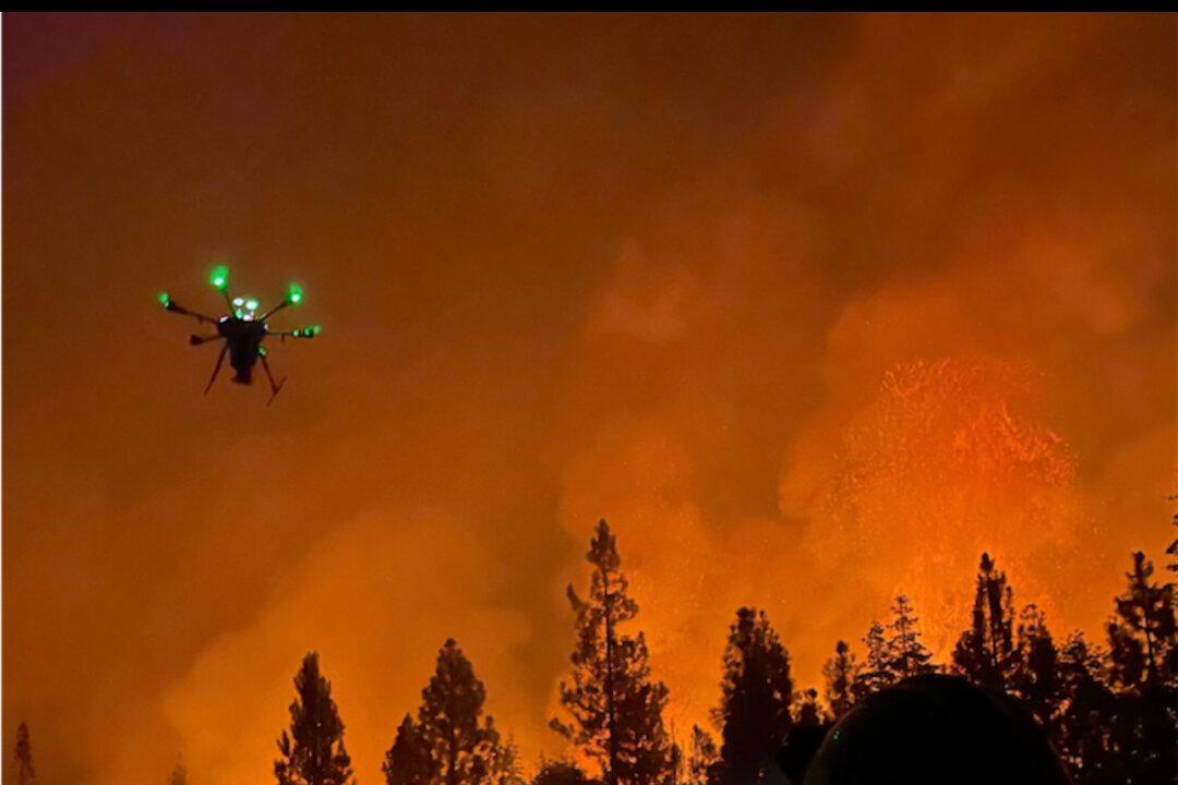 Tech Company Fights Wildfires Using Fireball-Dropping Drones
