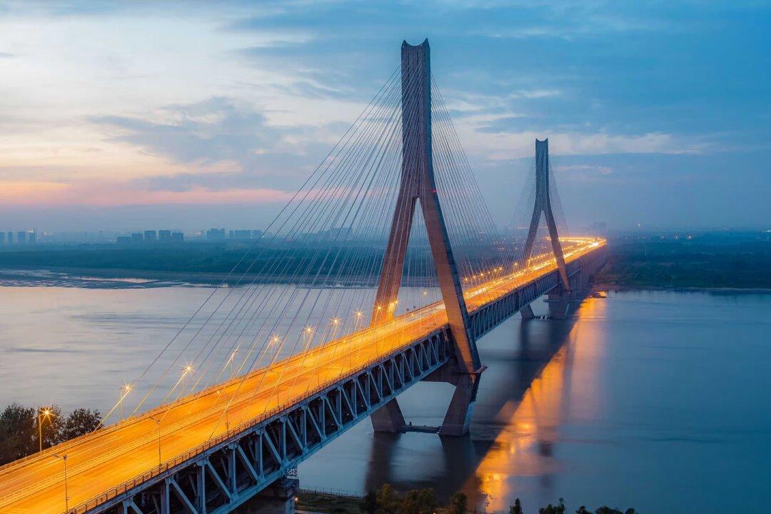 The Other Lab in Wuhan: The German-Chinese ‘Laboratory for Virus Research’