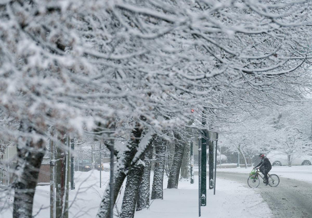 Wind Chill Drops to -40 C in Central BC, Winter Tires Needed on Lower Mainland