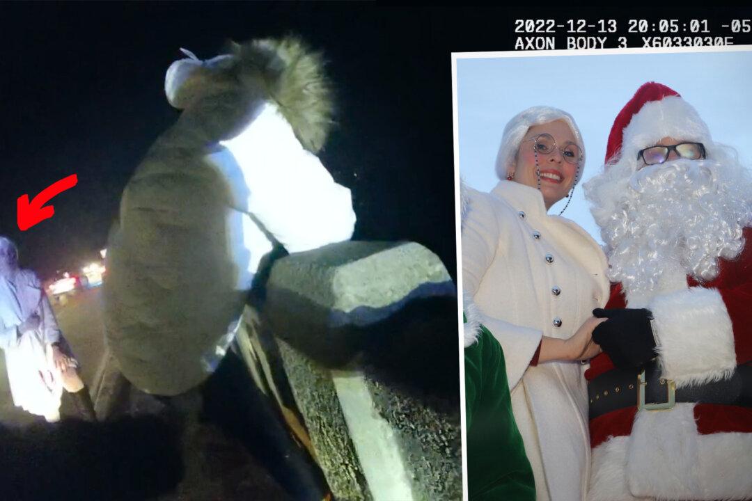 Off-Duty Police Officer Dressed As Mrs Claus Sees Woman Leaning Over Bridge, Pulls Over to Save Her Life