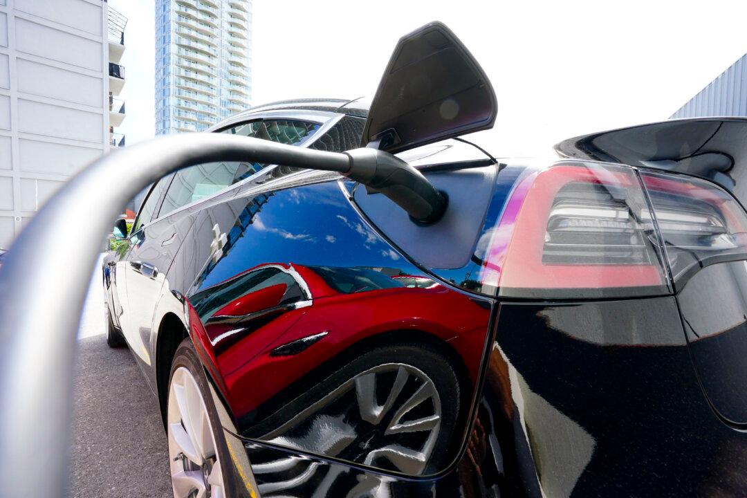 Less Than 5 Percent of Newly Purchased Vehicles by Feds Were Electric: Records