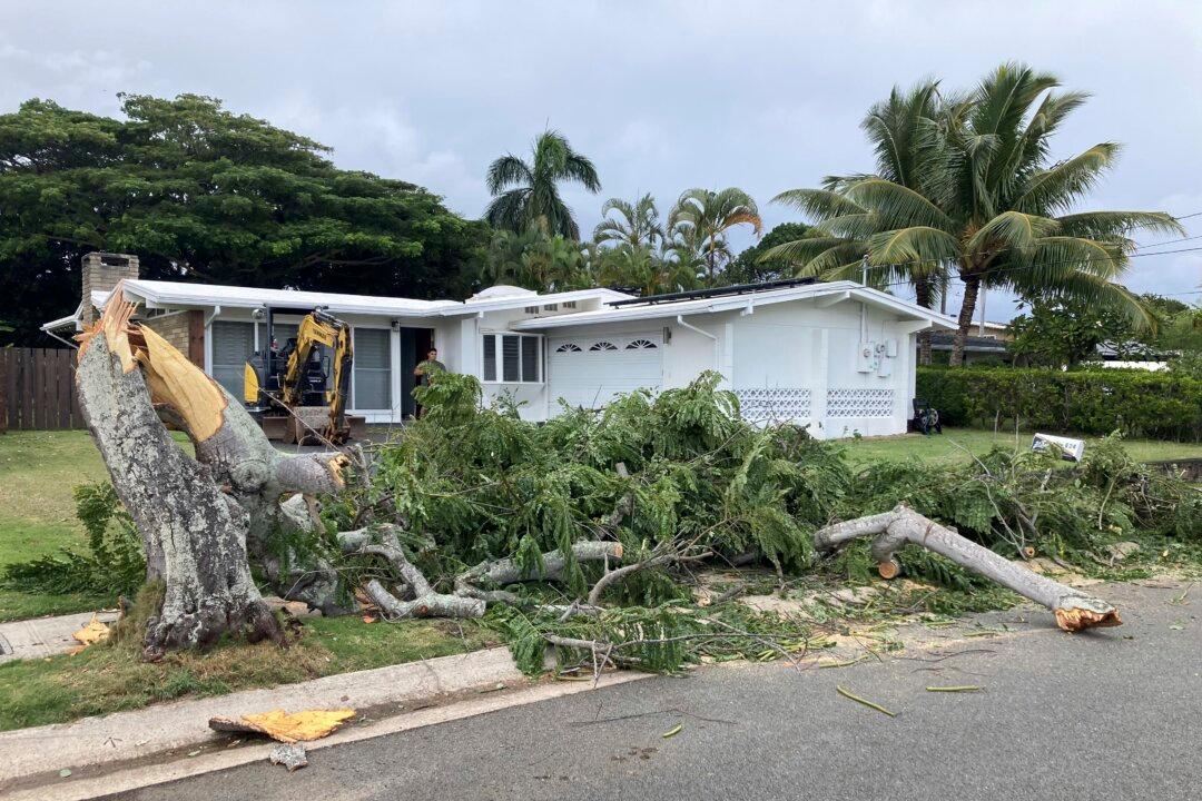 Hawaii Winter Storm: Thunder, Hail, and Power Outages