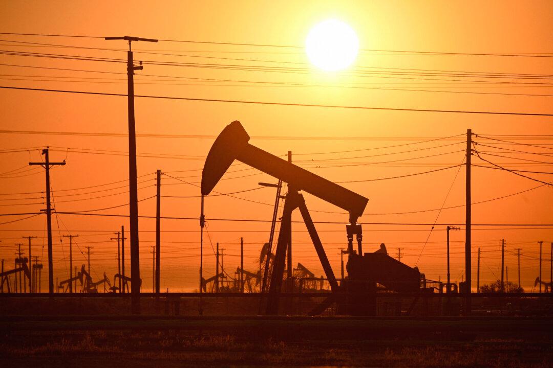 US Oil Prices Erase 2024 Gains on OPEC Output, Economic Growth Fears