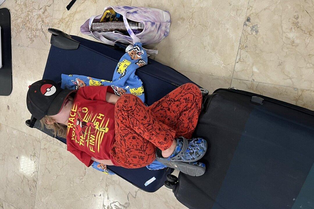 Cancelled Flights Make for Rough Holiday Season for Many Canadian Travellers