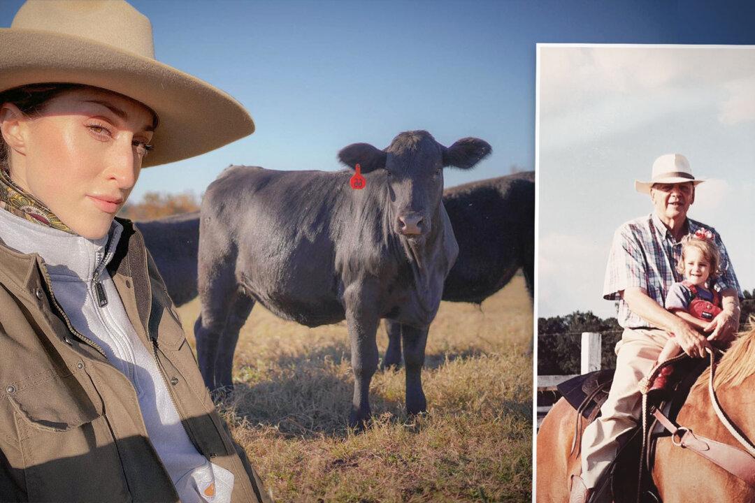 Couple Quit Corporate Jobs to Save Wife’s Family Ranch on the Ropes—Succeed Making It Profitable Again