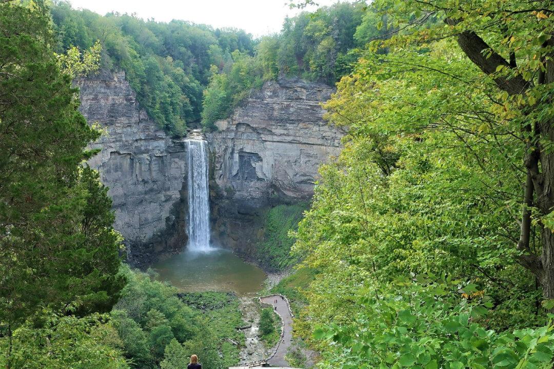 Find Gorges, Greenery, Gardens, and Goats in Ithaca, New York