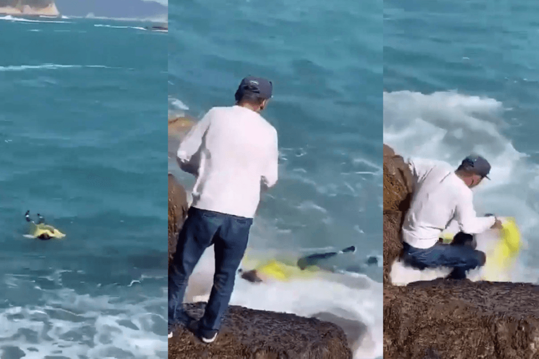 Angler Uses Hook and Line to Save Woman Who Fell into Water