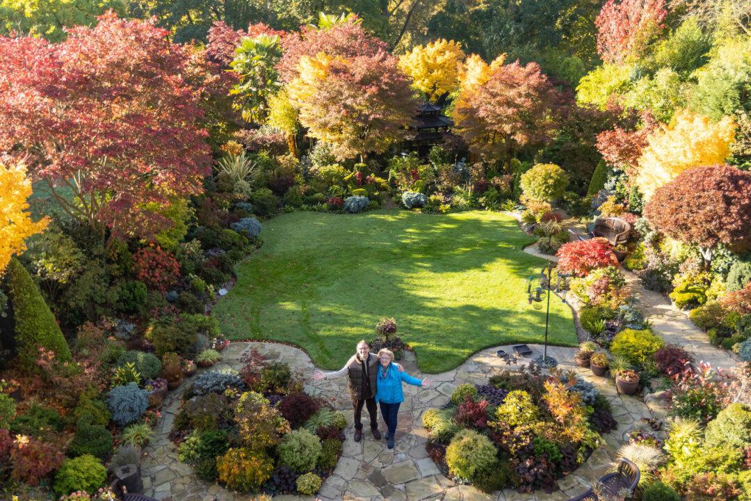 Retired British Couple’s Garden Is a Spectacular Oasis Bursting With Color From 3,000 Plants
