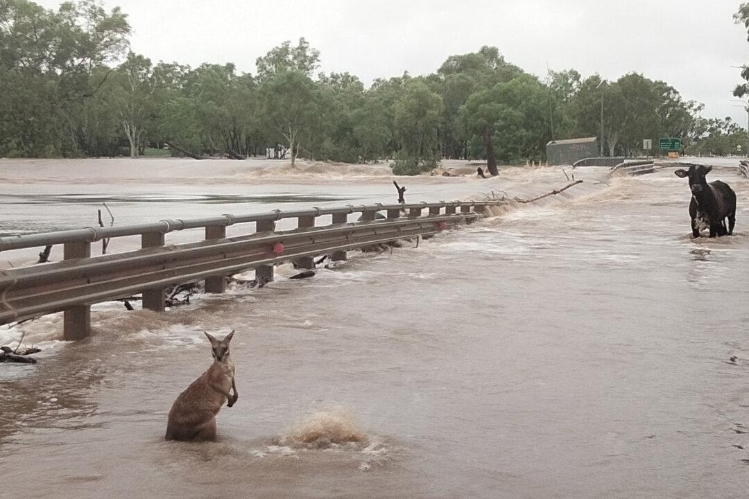 Fire Returns to the Kimberley on Heels of Epic Flood