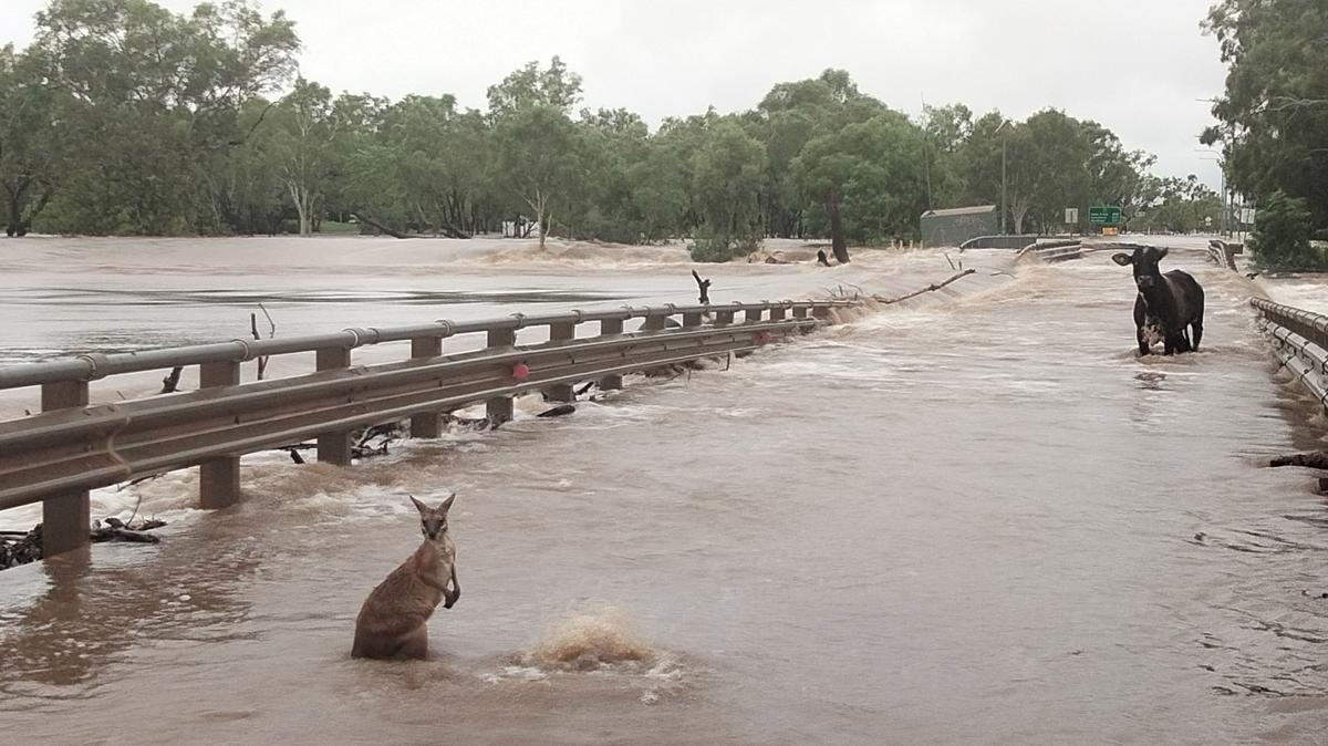 Fire Returns to the Kimberley on Heels of Epic Flood