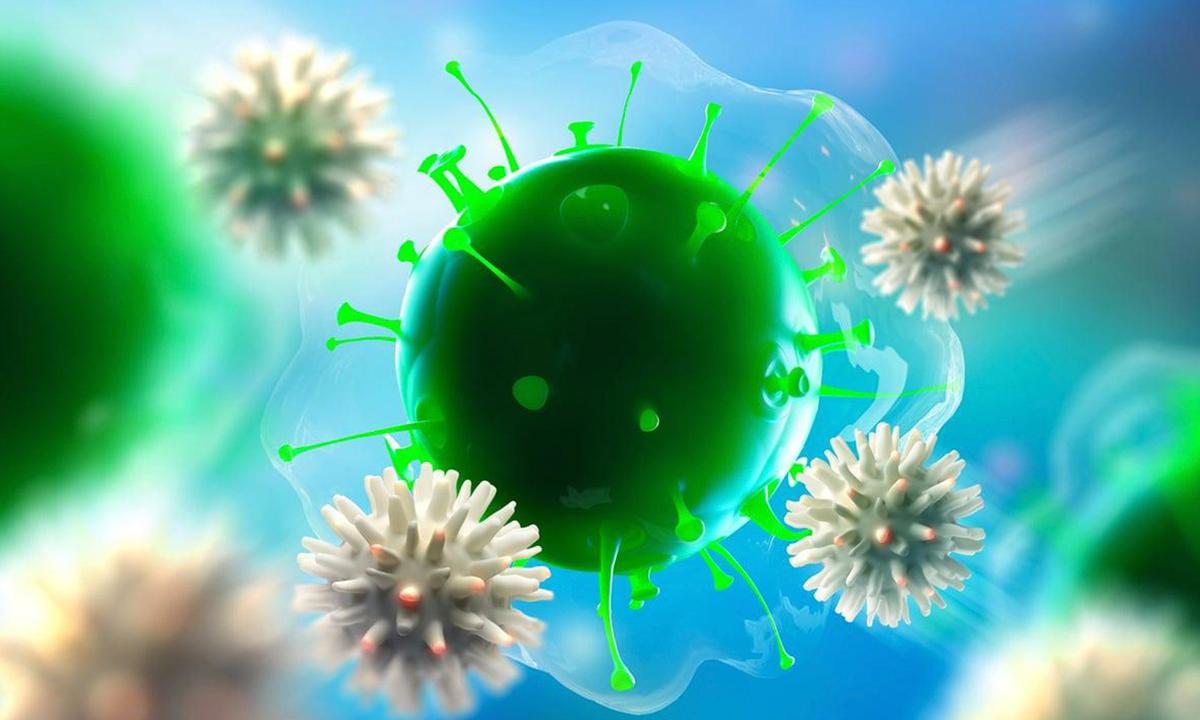 Canadian Sea Sponge Could Hold Cure for COVID-19