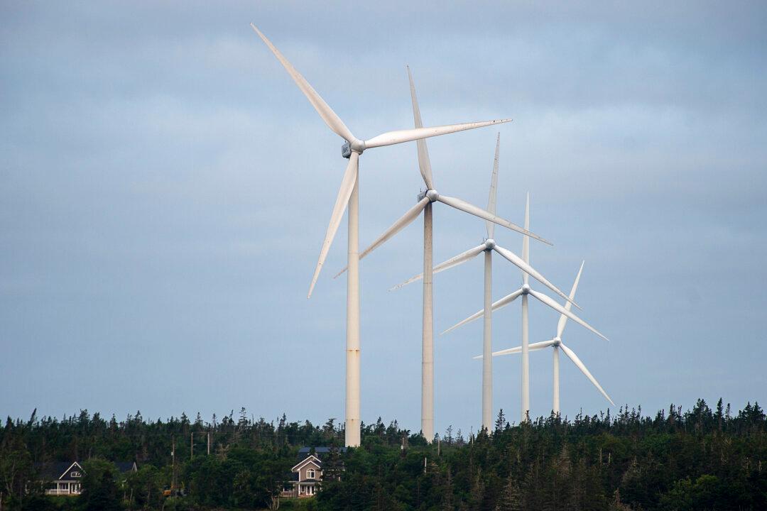Cleantech Stocks Fall Sharply in Energy Upheaval of 2022