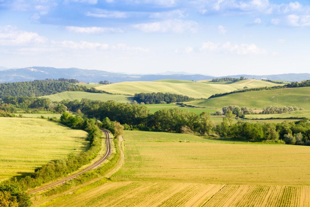Trains, Buses, and Automobiles: A Dynamic Family Trip to Northern Italy
