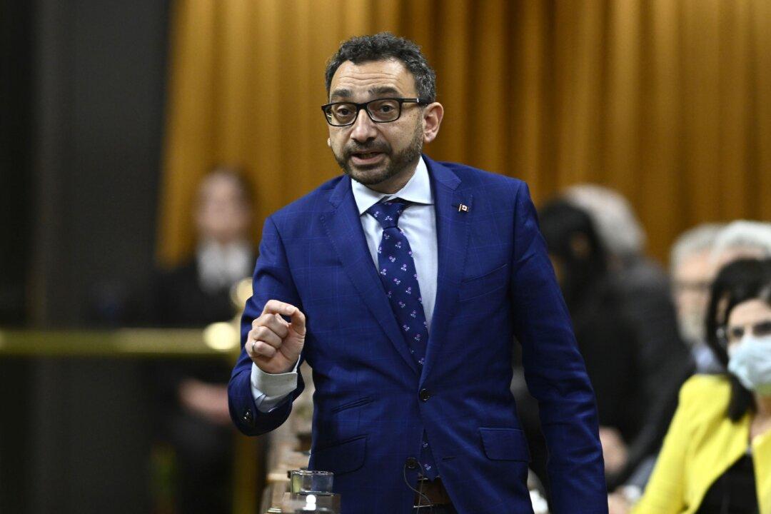 Weather and Industry Mostly to Blame for Travel Chaos, Transport Minister Tells Committee