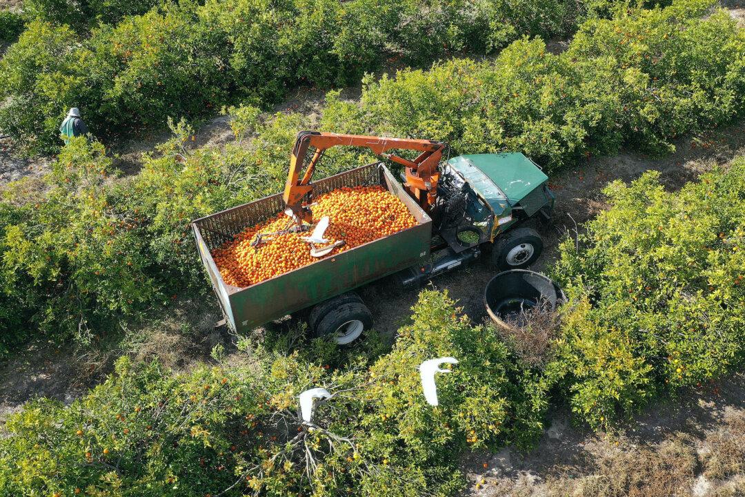 Defamation Provision in Florida Farm Bill Draws Pushback From MAHA Advocates