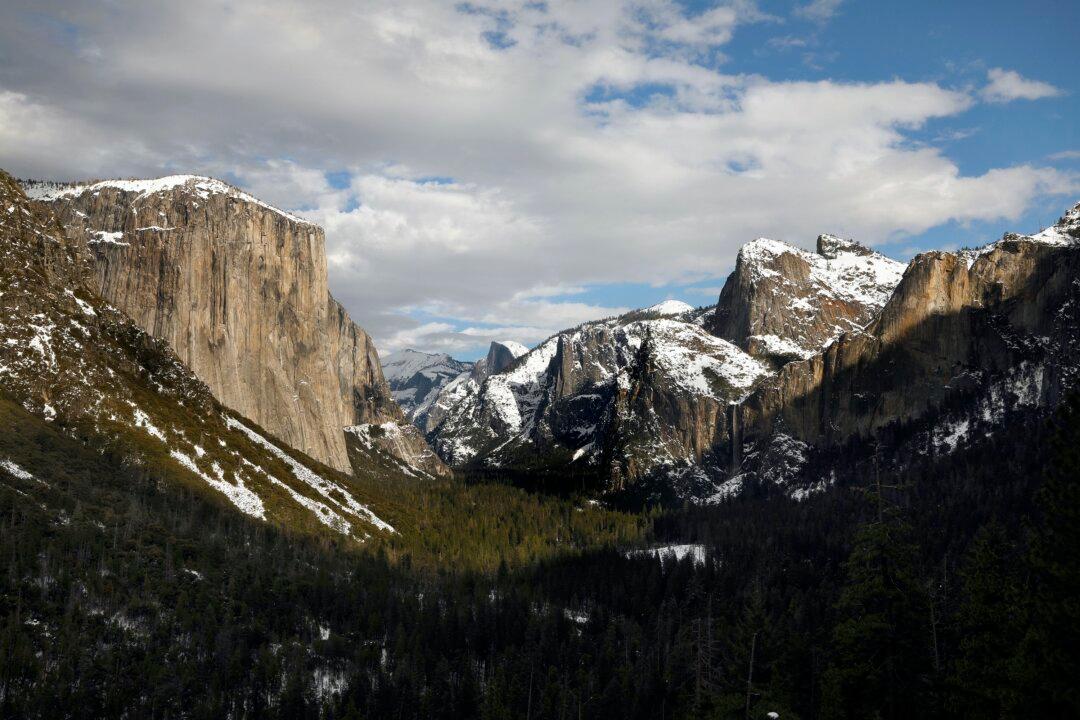 New York Stock Exchange Abandons Plan to Control America’s Natural Resources