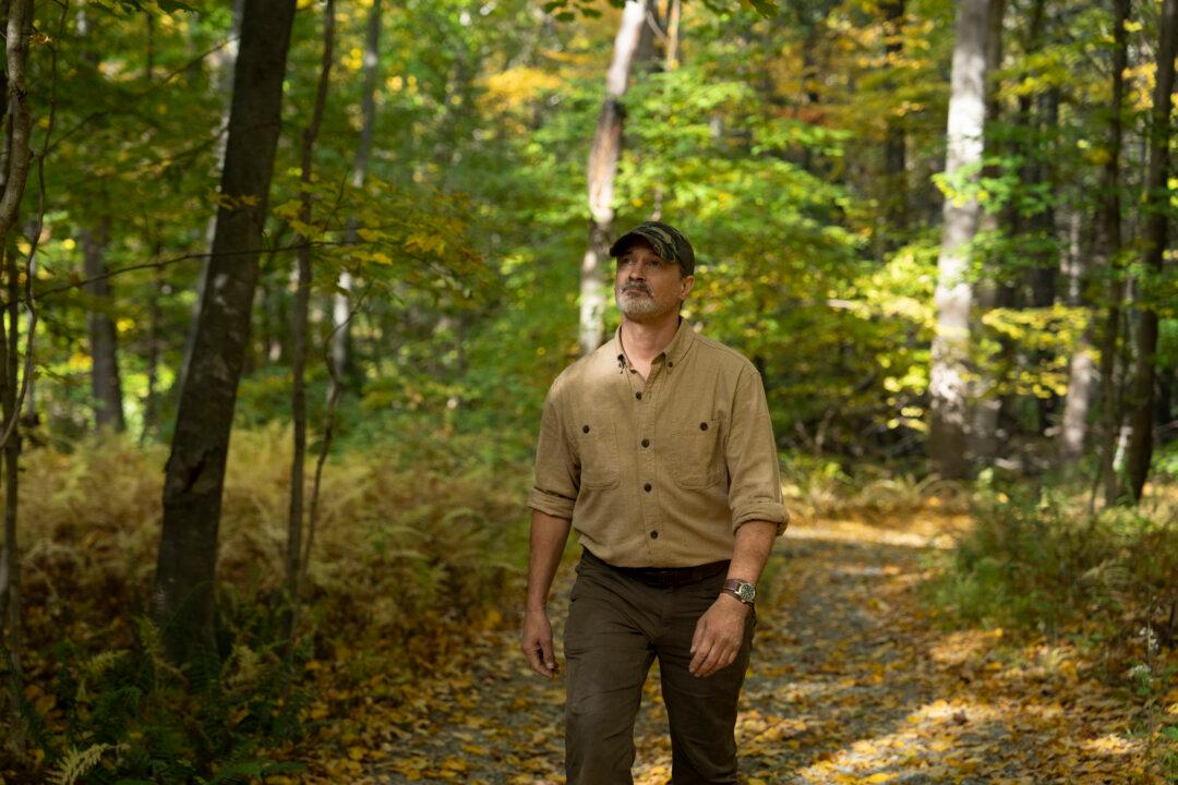 Mountain Scout Survival School: Be Prepared to Handle Everything from Wilderness Survival to Urban Emergencies