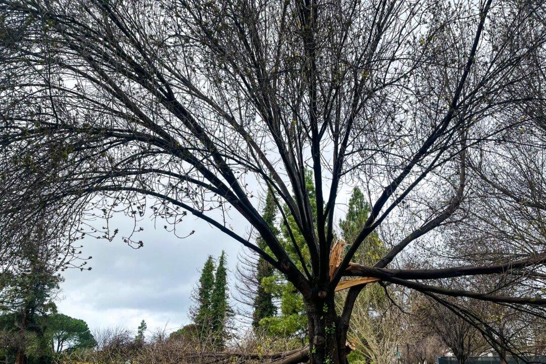 Northern California Seeks Recovery After Being Battered by Storms