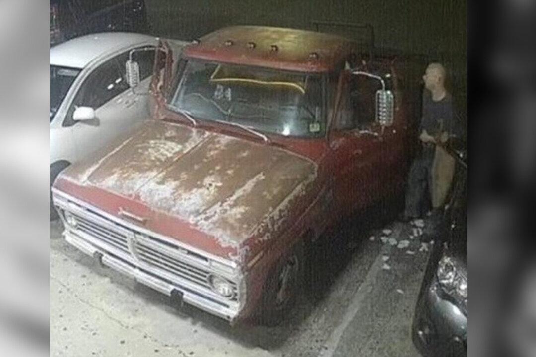 Houston Police Question Armed Restaurant Patron Who Shot Dead Suspected Robber