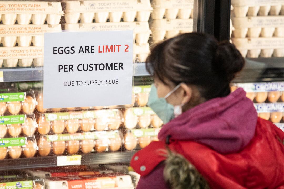 The ‘Perfect Storm’ That Drove up California’s Egg Prices
