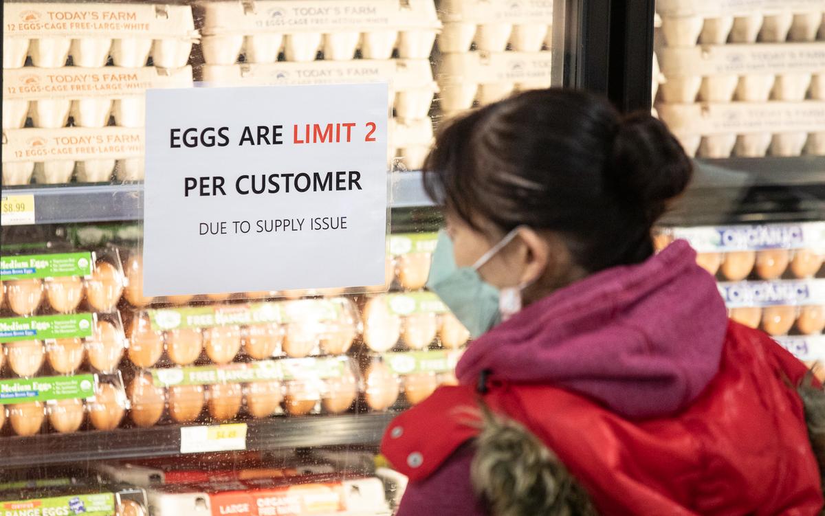 The ‘Perfect Storm’ That Drove up California’s Egg Prices