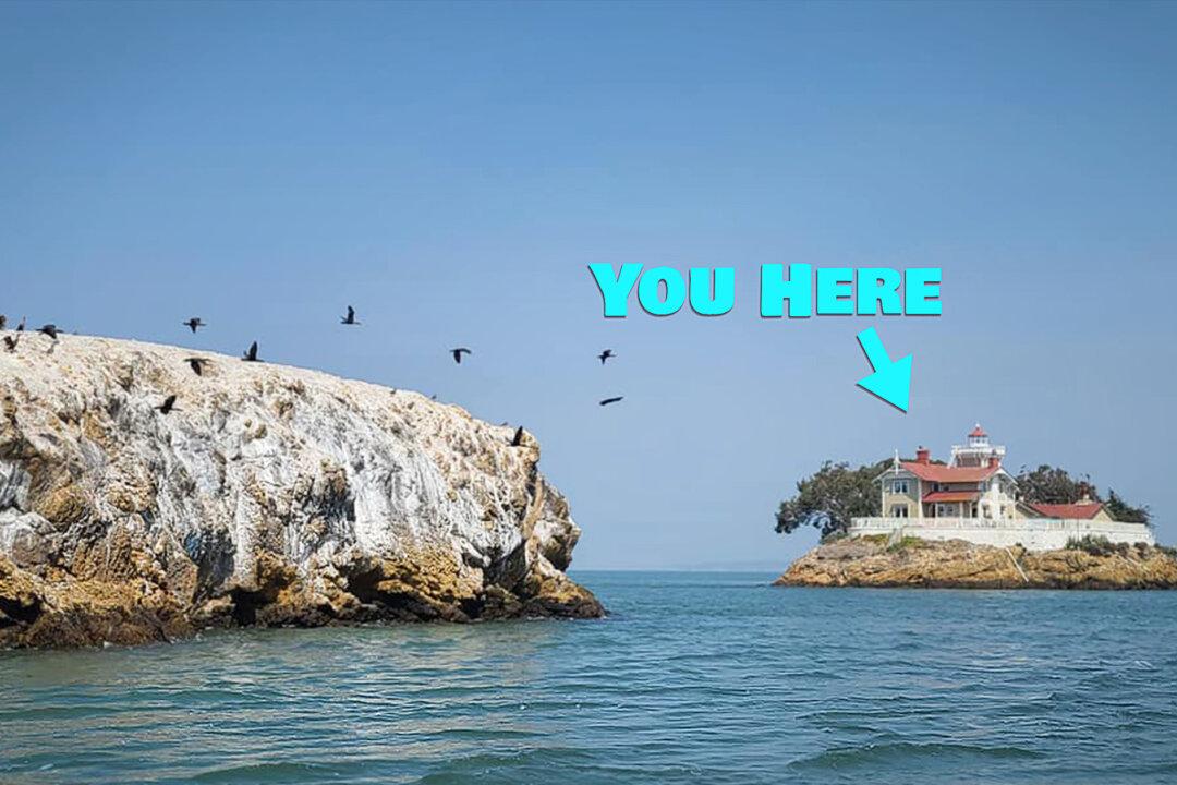Lighthouse Looking to Pay Persons $140,000 to Live on a Rock in San Francisco Bay, Tend Bed & Breakfast