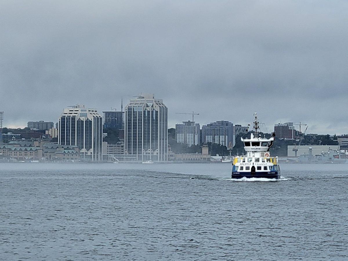 Housing Shortage: Nova Scotia Invests $1.3 Million in Provincewide Home-Sharing App