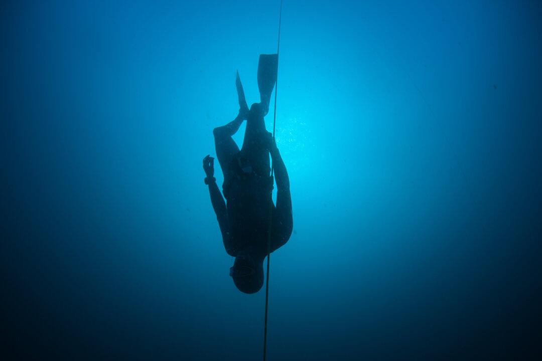 Elite Divers Could Shed Light on Lung Disease