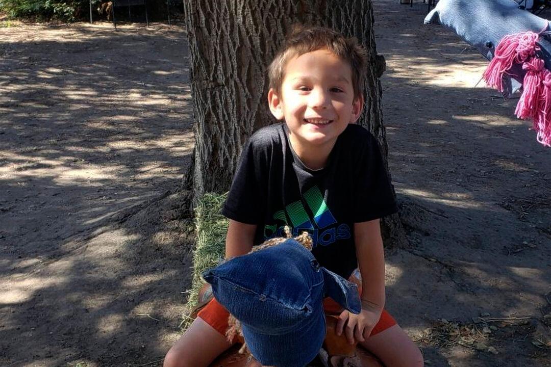 Missing Boy’s Mother: ‘I Could Feel His Fingers Slipping’ Away