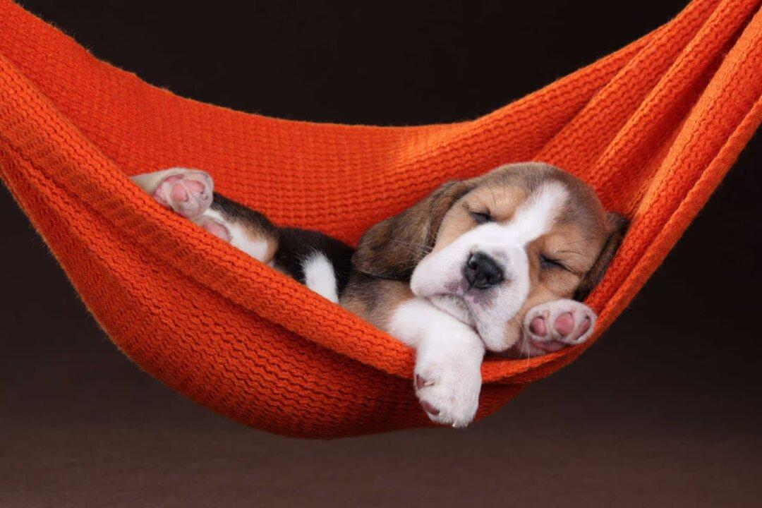 Facebook Is Dead Unless You Post Something That Does Not Matter