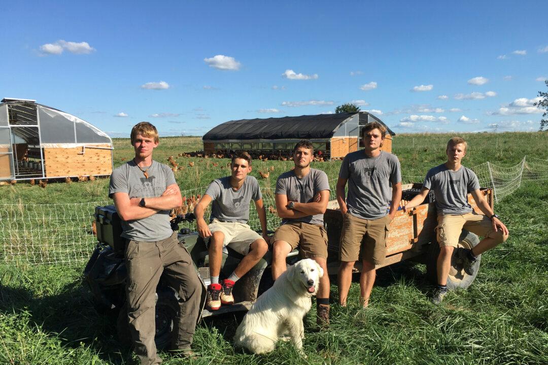 How a Once-Struggling Indiana Farm Found Success, and Hope, When They Embraced Farming Practices that Nurture the Soil