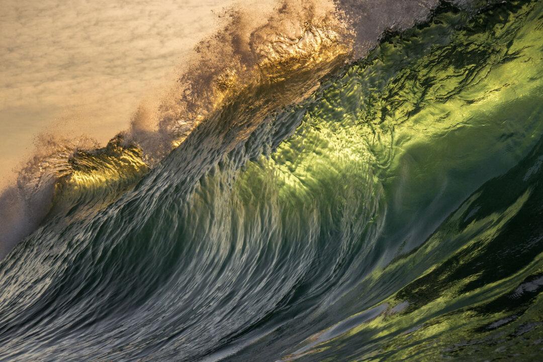 Ocean Photographer Captures Glassy Waves Frozen in Time, Translucent Walls of Water Backlit by Sunrise