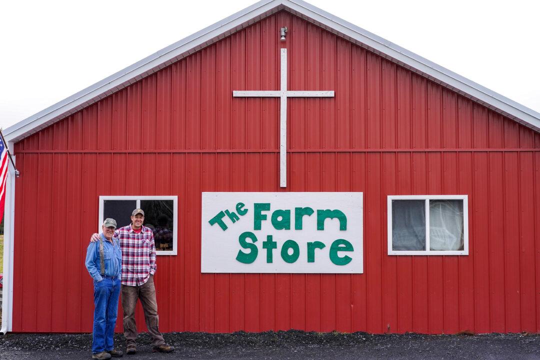 As Small Dairy Farms Disappear, This One Thrives in Otisville, New York