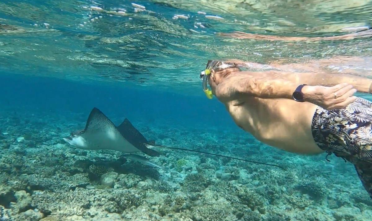 Rene Vagnotti, 70, watches a poisonous leopard ray swim right by him. (Screenshot/Newsflare)