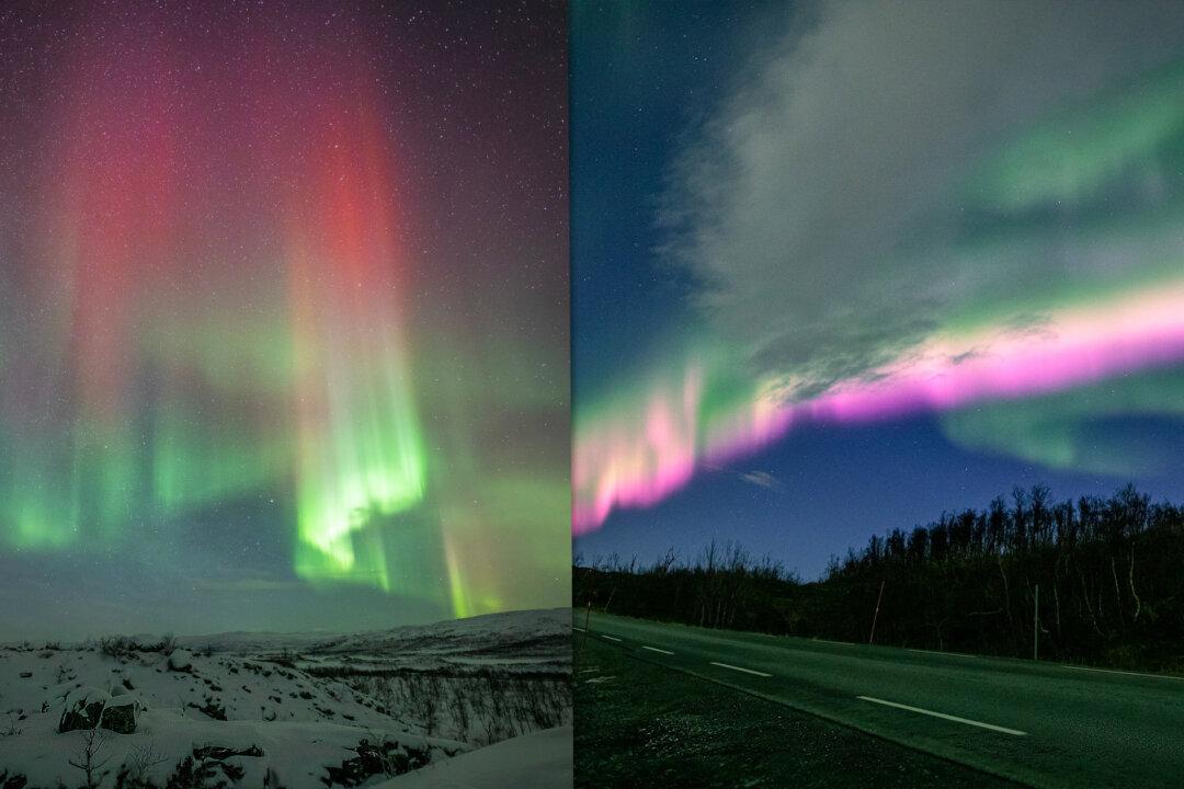 ‘Awe-Inspiring Sights’: Aurora Spotter Captures Ultra-Rare Orange and Pink Northern Lights in Norway