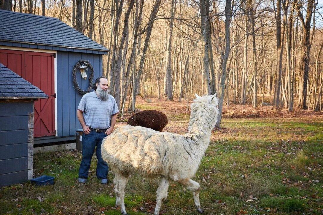 New England Farmer Sues Town for ‘Home Equity Theft’ in Federal Court