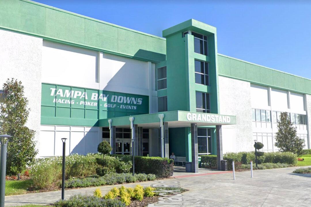 Exercise Rider Killed in Florida Horse Track Accident