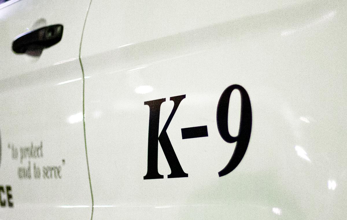 Belgian Malinois Joins the Ranks of Laguna Beach Police Department