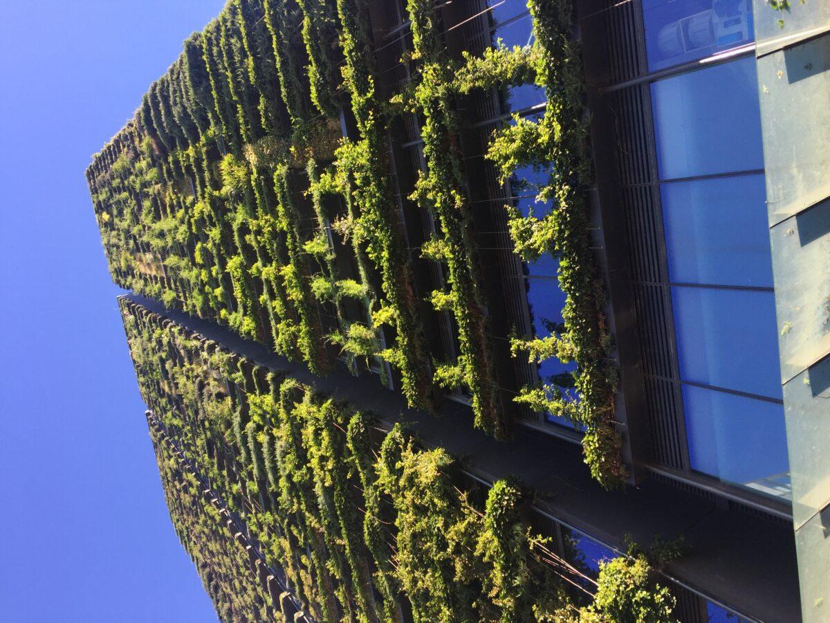 Vertical Gardens: Researchers Determine Efficacy of Cheaper Cooling Method