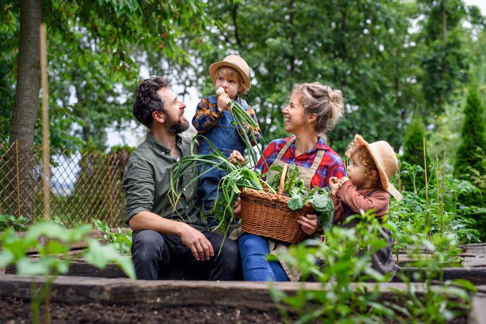 Garden Appreciation Boosts Well-Being, Study Finds