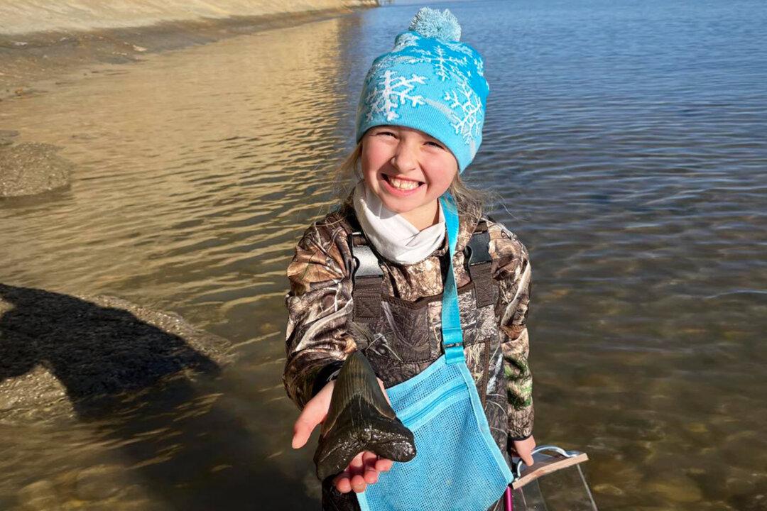 Girl, 9, Finds ‘Once-in-a-Lifetime’ Huge Shark Tooth From 15 Million-Year-Old, 50-Foot Megalodon