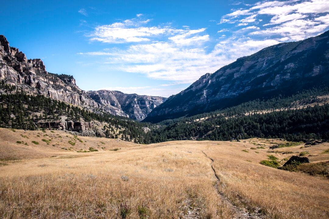 Getting Roped In by Wyoming