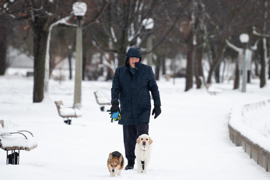 Cats, Dogs Most Popular Pet for Canadians; More Than Half Own a Pet: CFIA Report