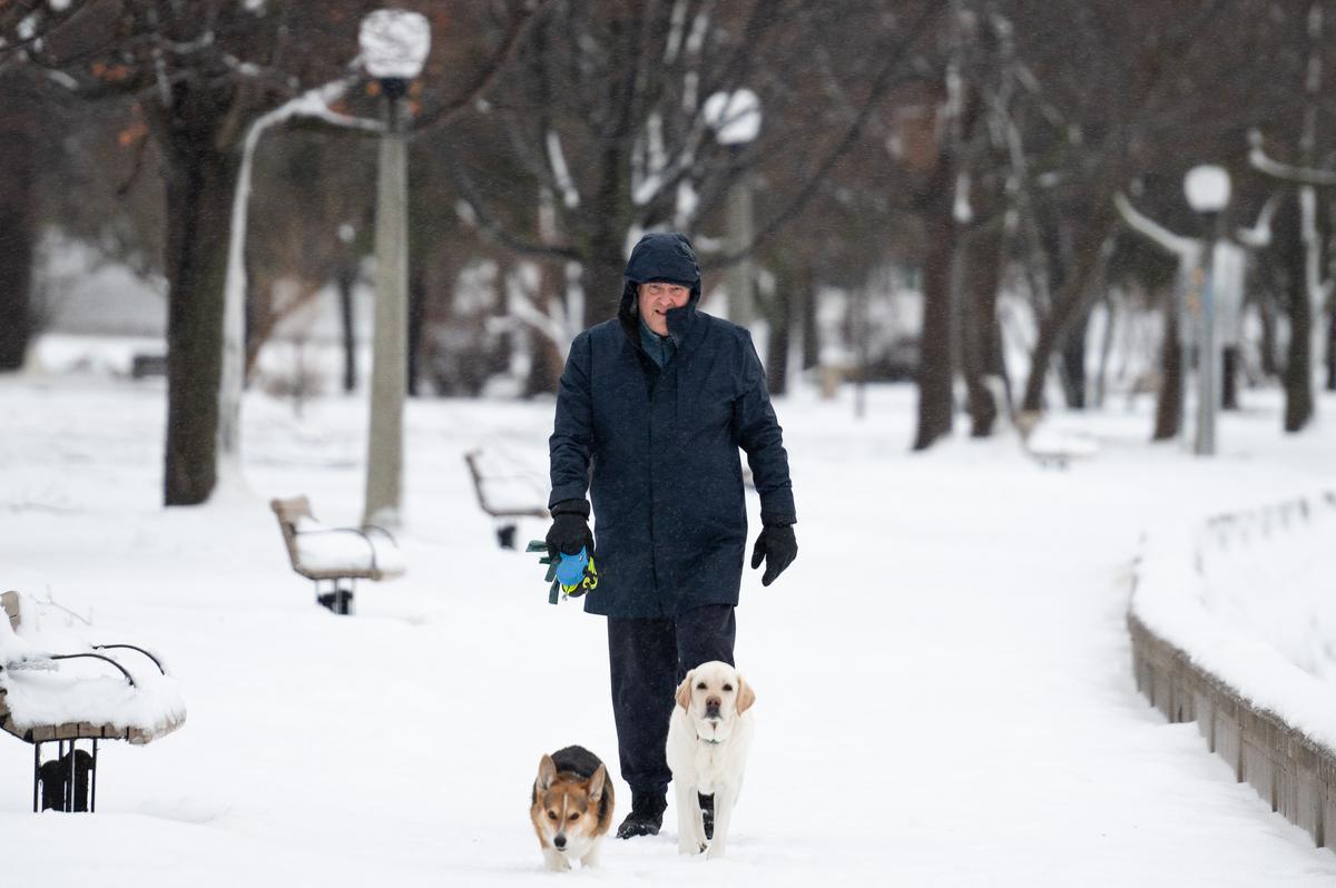Cats, Dogs Most Popular Pet for Canadians; More Than Half Own a Pet: CFIA Report