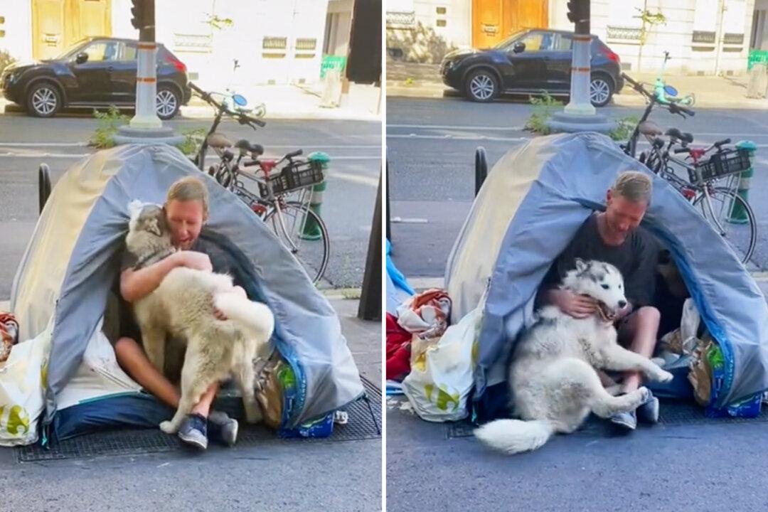VIDEO: Husky Fell in Love With a Homeless Man in Paris—Their Bond Changed His Life