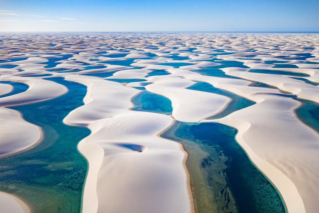 Why Does This Surreal ‘Desert’ Fill With Endless Balmy Swimming Pools and Living Fish Every Year?