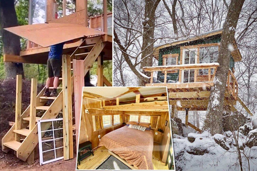 Couple Build Their Own Airbnb in a Tree From Scratch, Business Flourishes, and It’s Uber-Cozy