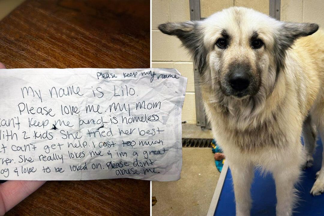 Dog Abandoned by Owner Who Became Homeless but Left Note—Until Strangers Step In to Reunite Them