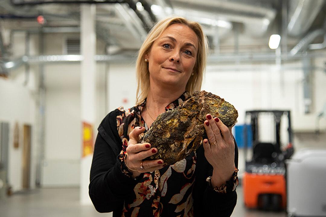 Norway Finds Rare Earth Metals That Could Make Europe Less Dependent on China