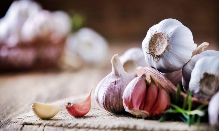 Harnessing the Multitudes of Garlic